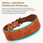 Geprägtes Kunstleder-Halsband Cognac – breite Halsbereich-Polsterung, stoßfest & atmungsaktiv, ideal für Spaziergänge und Aktivitäten | Hund & Heim