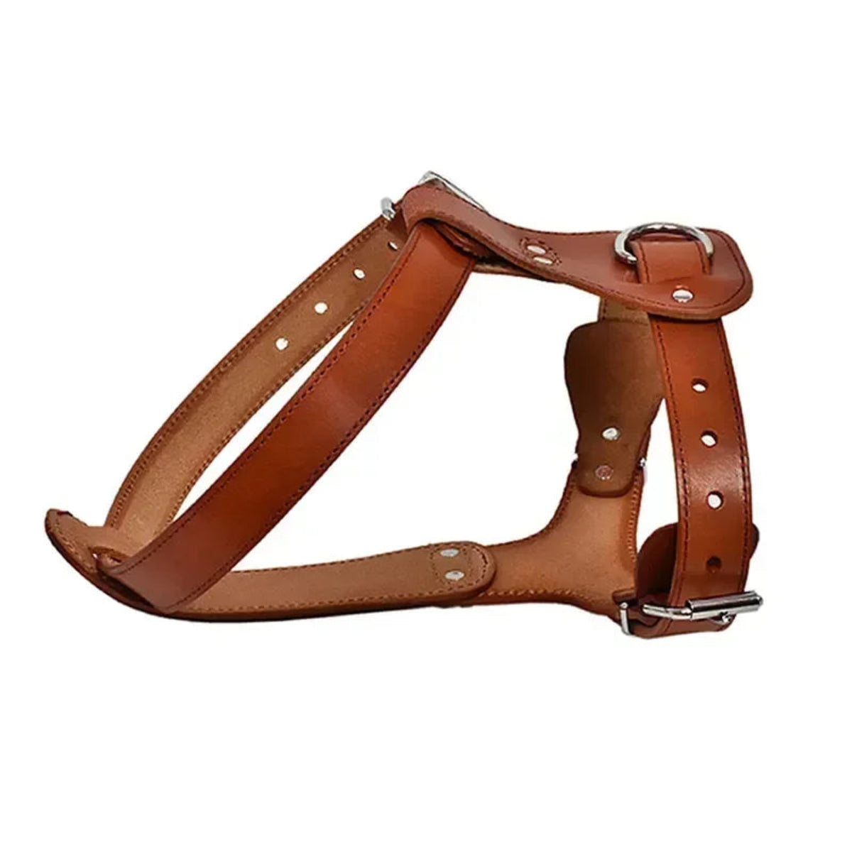 Hund & Heim Leder Hundegeschirr in Cognac aus echtem Rindsleder mit verstellbaren Gurten und stabilem Metallring für sichere Spaziergänge