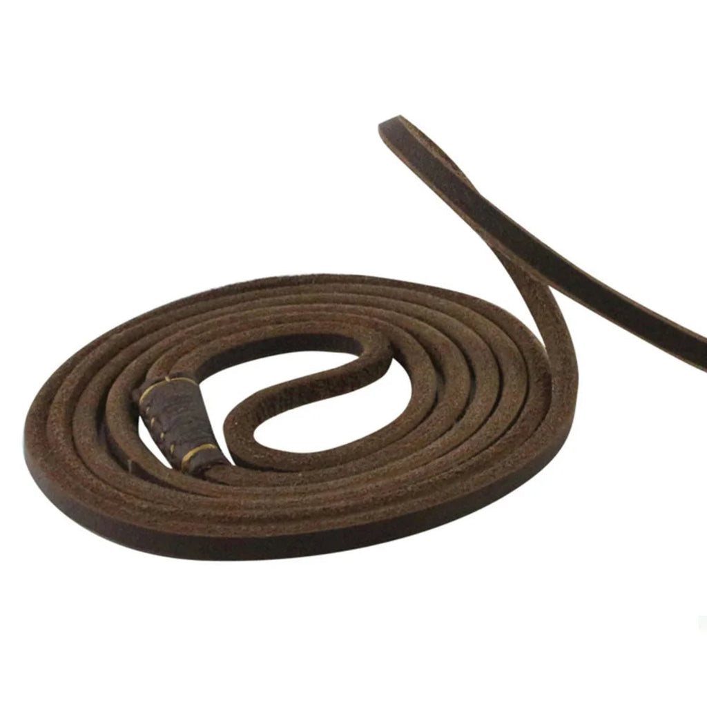 Hund & Heim Premium Leder-Schlupfleine in Braun, 160 cm, mit Schlupfschlaufe und Lederdetails