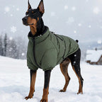 Hund & Heim Winter-Hundemantel in Olivgrün im Schnee