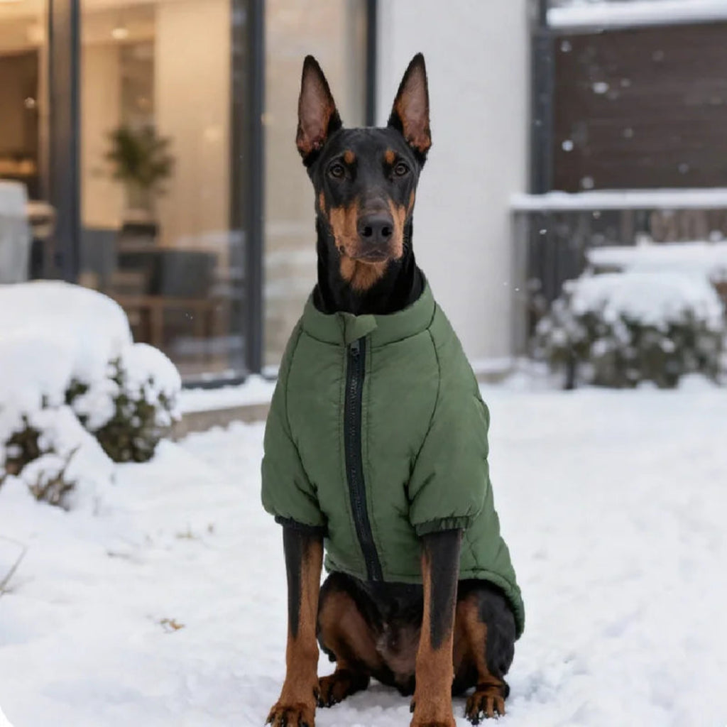 Hund & Heim Winter-Hundemantel in Olivgrün – Hund im Schnee