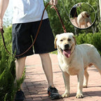 Hund mit brauner Lederleine beim Spaziergang – stabile Premium Hundeleine für den Alltag.