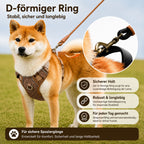 Hundegeschirr mit stabilem D-förmigem Ring für eine sichere Befestigung der Leine