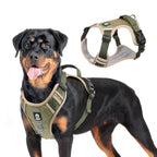 Premium Hundegeschirr in Oliv Sand für Hunde – ergonomische Passform, reflektierende Elemente und gepolsterter Komfort von Hund & Heim