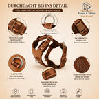 Braunes Leder Anti-Zug Hundegeschirr mit verstellbaren Schnallen, D-Ring und atmungsaktivem Mesh-Futter