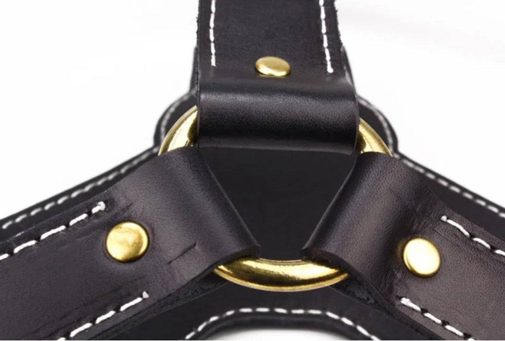 Detailaufnahme der Y-Verbindung eines schwarzen Premium Leder Hundegeschirrs von Hund & Heim mit hochwertigen Nähten und goldfarbenen Metallbeschlägen