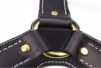 Detailaufnahme der Y-Verbindung eines schwarzen Premium Leder Hundegeschirrs von Hund & Heim mit hochwertigen Nähten und goldfarbenen Metallbeschlägen