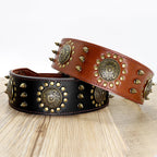 Hochwertiges Leder Hundehalsband in Schwarz und Cognac mit dekorativen Nieten und Verzierungen – Premium Hundezubehör von Hund & Heim