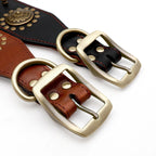 Detailaufnahme eines hochwertigen Leder Hundehalsbands mit robuster Metallschnalle, Nieten und edler Verarbeitung – Premium Hundezubehör von Hund & Heim