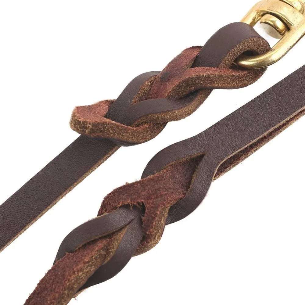 Geflochtene braune Leder Hundeleine mit hochwertigem Karabiner – robuste und elegante Leine für Hunde von Hund & Heim.