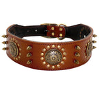 Cognacfarbenes Leder Hundehalsband mit dekorativen Nieten, goldfarbenen Metallornamenten und robuster Schnalle – elegantes Premium Hundezubehör von Hund & Heim