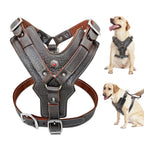 Premium Leder Hundegeschirr in Cognac für große Hunde von Hund & Heim mit gepolsterter Brustpartie und verstellbarer Passform