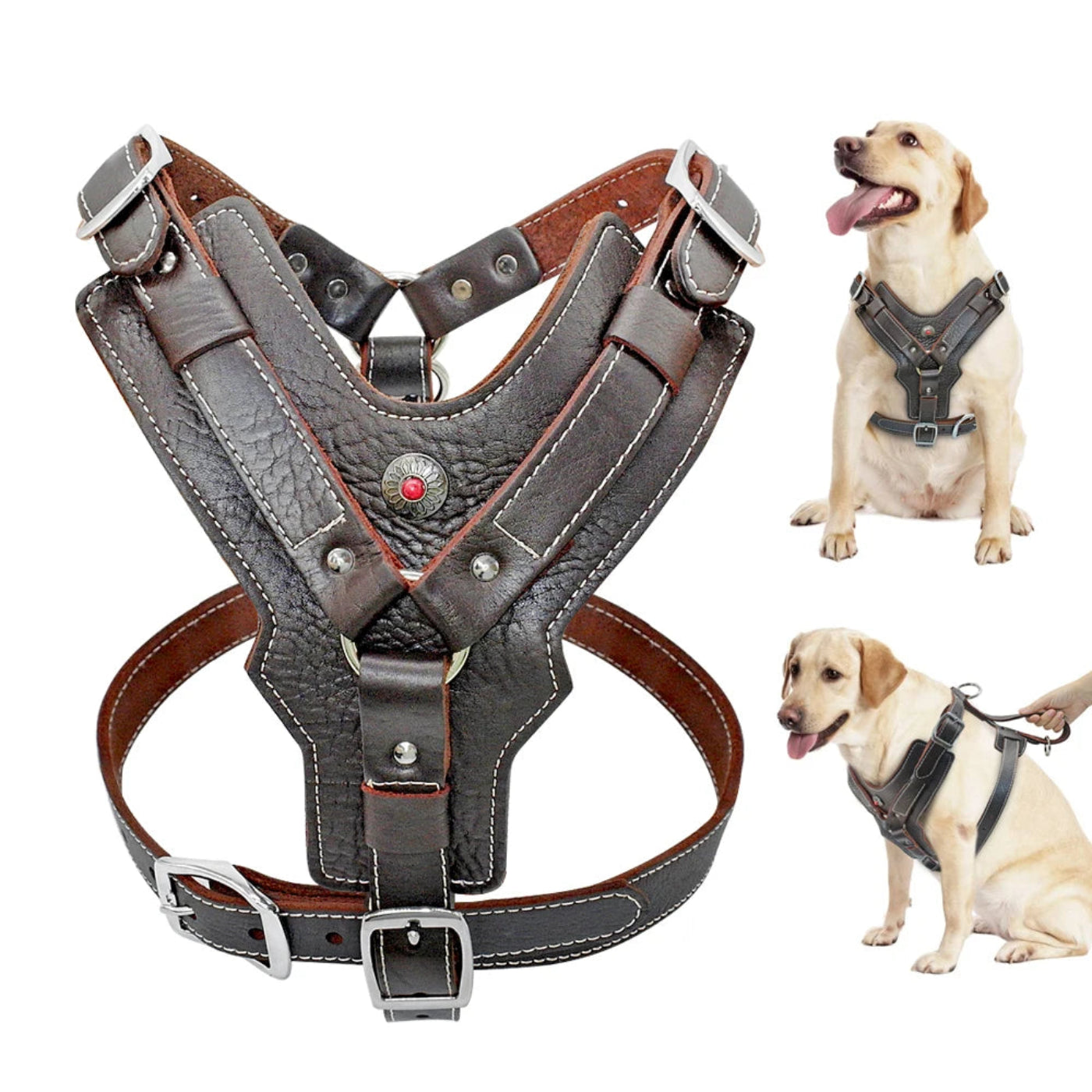 Premium Leder Hundegeschirr in Cognac für große Hunde von Hund & Heim mit gepolsterter Brustpartie und verstellbarer Passform