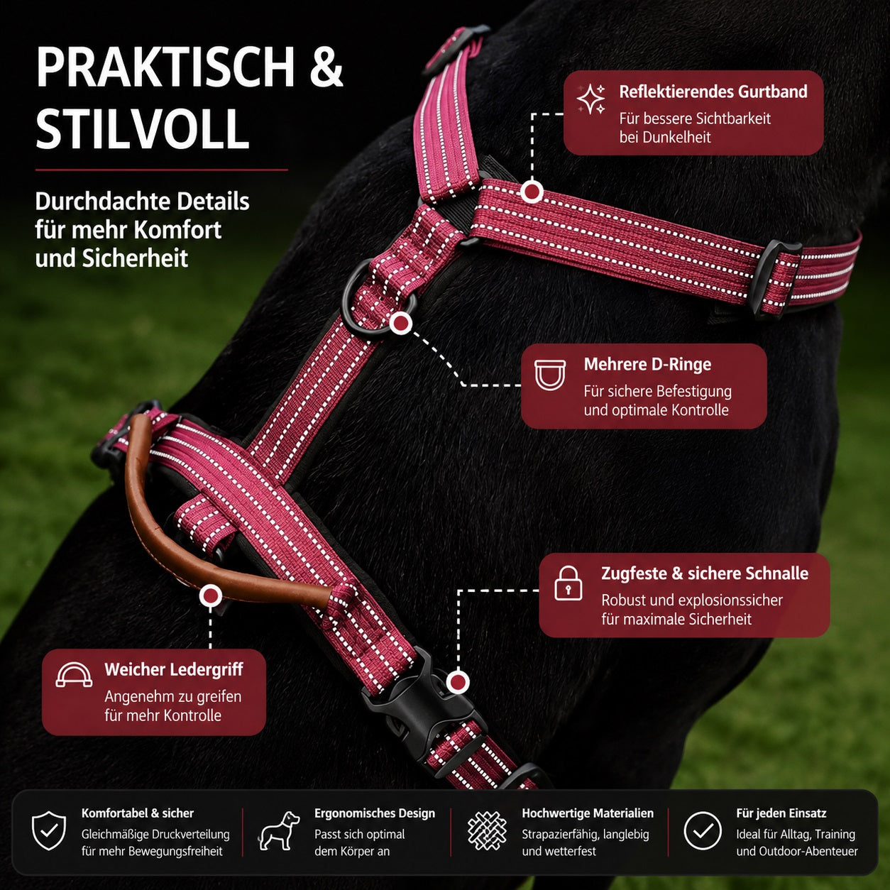 Detailaufnahme eines bordeauxroten reflektierenden Hundegeschirrs am Hund mit weichem Ledergriff, mehreren D-Ringen und sicherer Schnalle. Das robuste Outdoor Hundegeschirr bietet Komfort, Kontrolle und bessere Sichtbarkeit bei Spaziergängen.