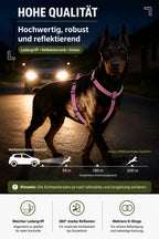 Dobermann trägt ein bordeauxrotes reflektierendes Hundegeschirr bei einem Spaziergang in der Dunkelheit. Das sichere Outdoor Hundegeschirr sorgt durch reflektierende Details für bessere Sichtbarkeit und Komfort bei großen Hunden.